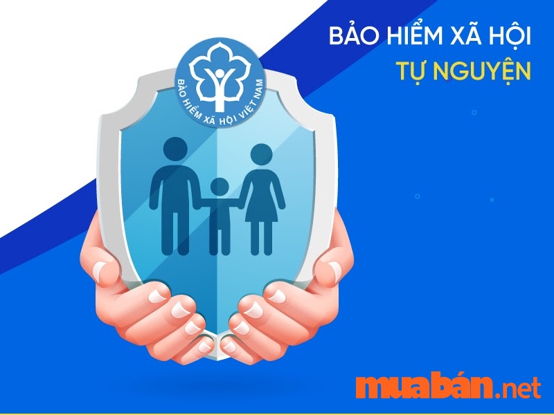 bảo hiểm xã hội tự nguyện