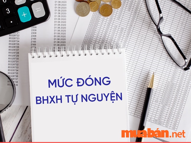 bảo hiểm xã hội tự nguyện