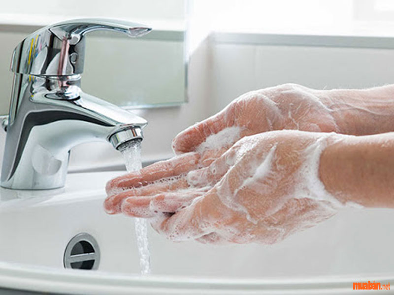Rửa sạch tay nếu vô tình chạm vào kiến ba khoang