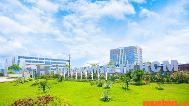 Digital Marketing Là Gì? 3 Kỹ Năng Cần Có Của Digital Marketer 2 Digital marketing là gì? Được đào tạo tại trường đại học nào?