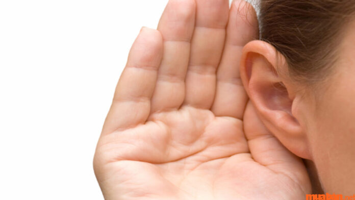 Kỹ năng lắng nghe trong giao tiếp