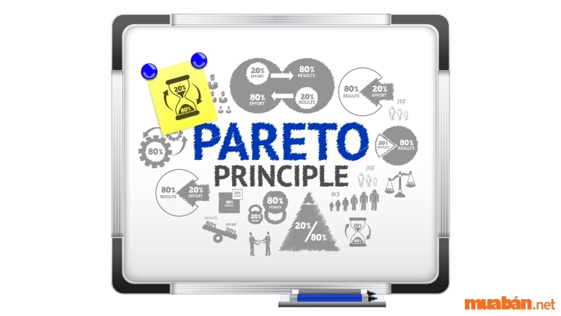 Nguyên tắc 80/20 (hay còn được gọi là nguyên tắc Pareto) là một nguyên tắc quan trọng trong kinh doanh và quản lý