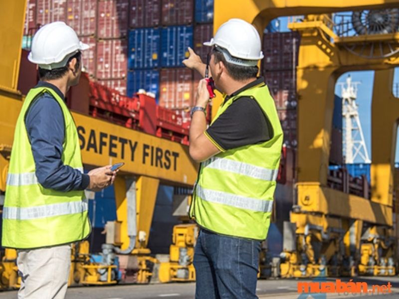 Nhân viên điều phối vận hành logistic