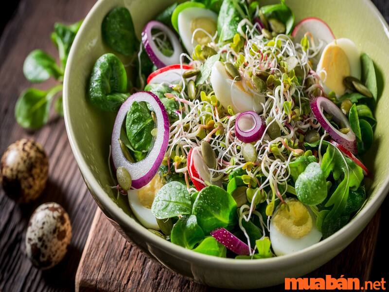 Salad là một món ăn ngon, tốt cho sức khỏe