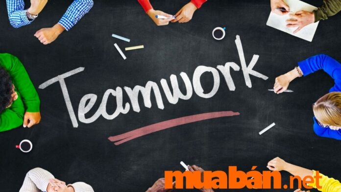 Teamwork là gì?