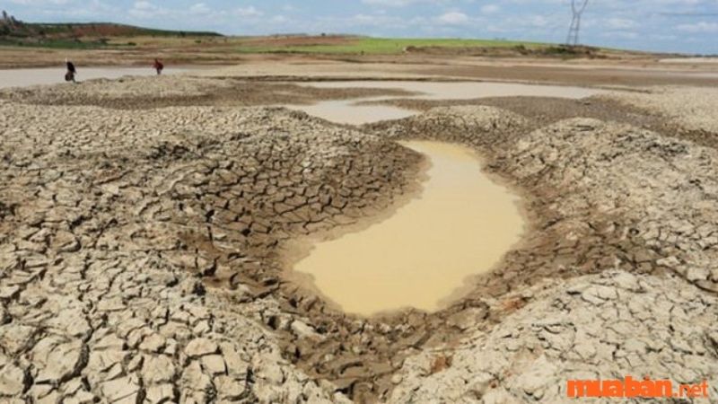 Biện pháp rửa trôi muối làm giảm độ mặn của đất