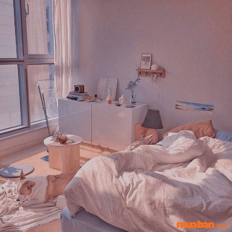 Decor phòng ngủ chill với ánh sáng không quá gay gắt