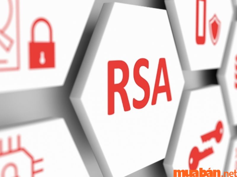 RSA được sử dụng khi nào?