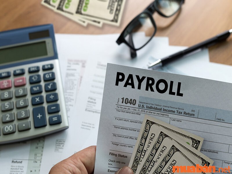 Payroll là gì? các khoản trích theo lương là một trong những căn cứ để xây dựng Payroll hoàn thiện và hiệu quả
