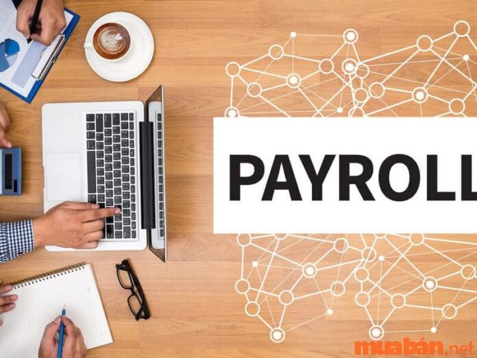Payroll là gì? 5 cách xây dựng Payroll hiệu quả