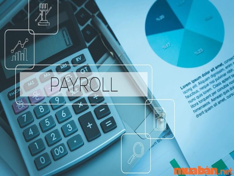 Payroll là gì và chức năng Payroll là gì?