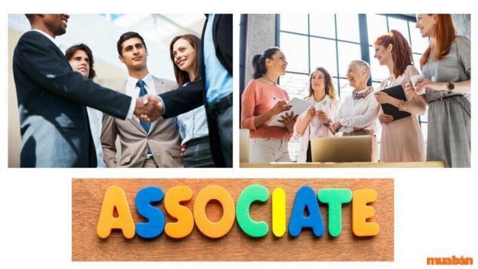 Associate là gì? Ý nghĩa của Associate trong mỗi lĩnh vực và những điều bạn cần biết!