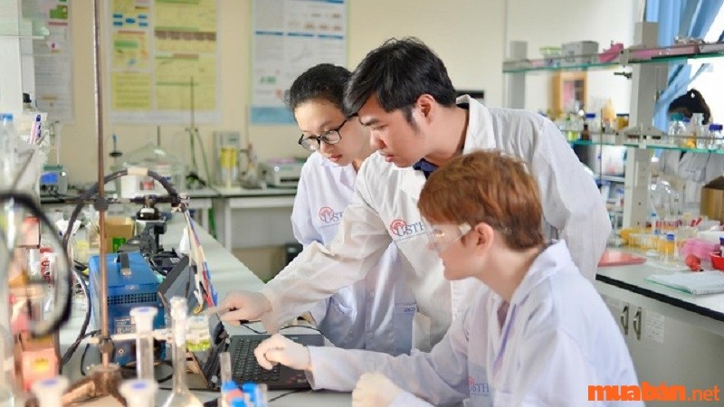 Tổ chức ngành công nghiệp tại Việt Nam hiện nay đang chú trọng việc huy động hiệu quả mọi nguồn lực kinh tế trong nước lẫn ngoài nước