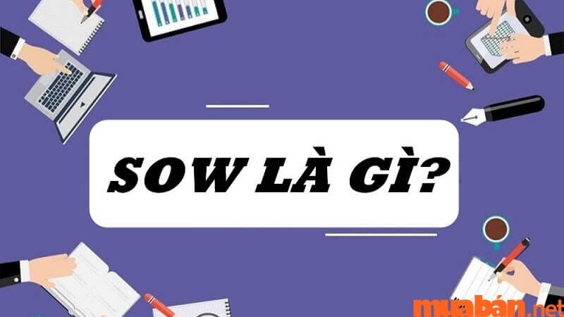 SOW là gì? Ý nghĩa của SOW trong công việc mà khi trở thành doanh nghiệp bạn không nên bỏ qua