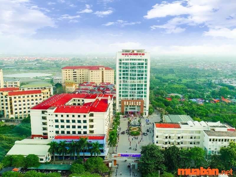 Công nghệ thông tin khối nào và top những trường đại học thông tin chất lượng cao nhất Việt Nam