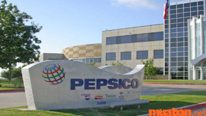 Công ty Pepsico Foods là đại diện hàng đầu của ngành nước giải khát