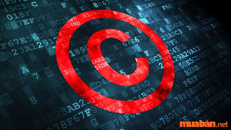 Phạm vi bảo hộ số copyright là gì?