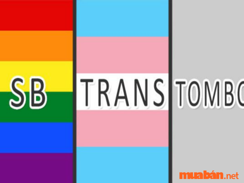 Sự khác nhau giữa Trans, Tom và SB là gì?