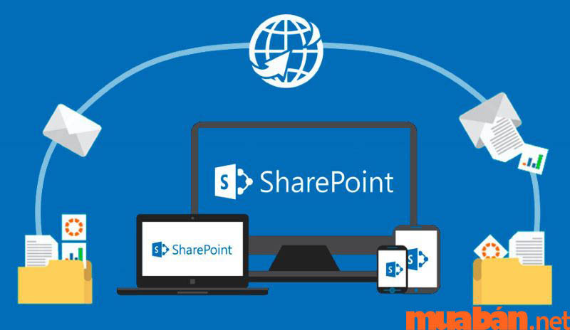 SharePoint là gì?