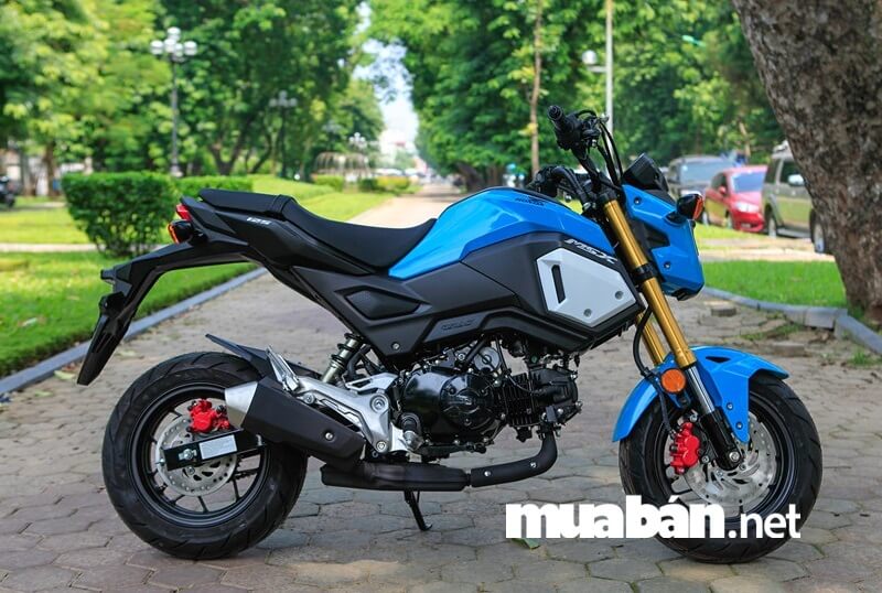 Xe Côn Tay - Honda MSX 125