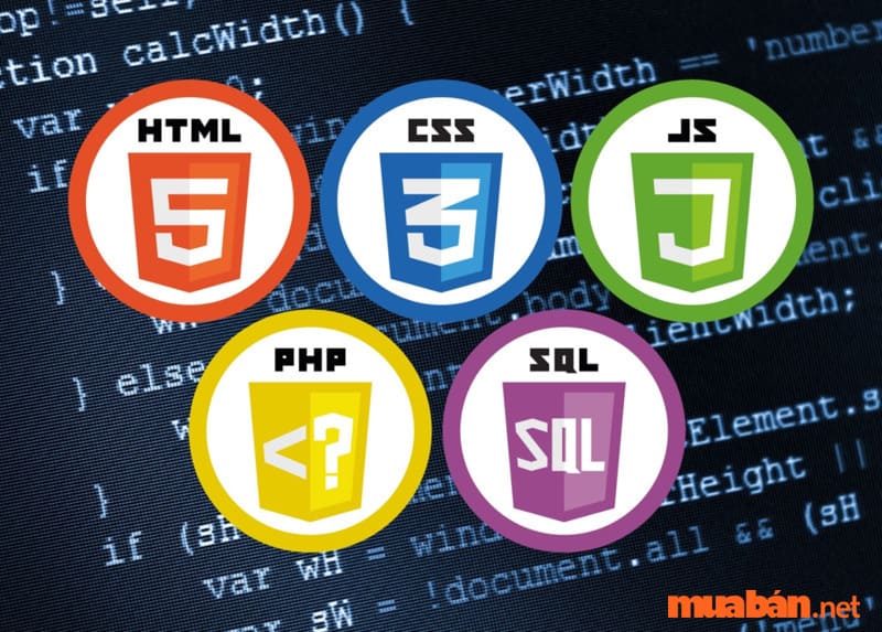 So sánh PHP với HTML, CSS, JavaScript