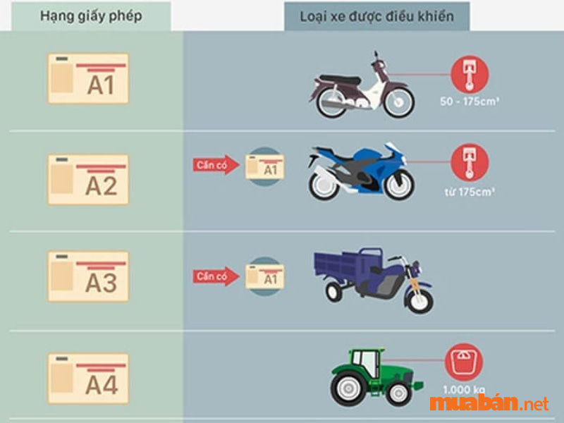 Phân loại bằng lái xe