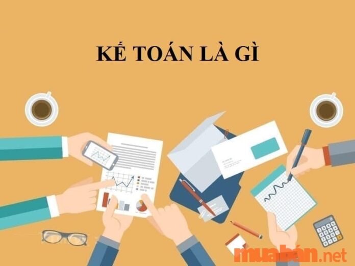 Ngành kế toán và những điều bạn cần biết khi theo học