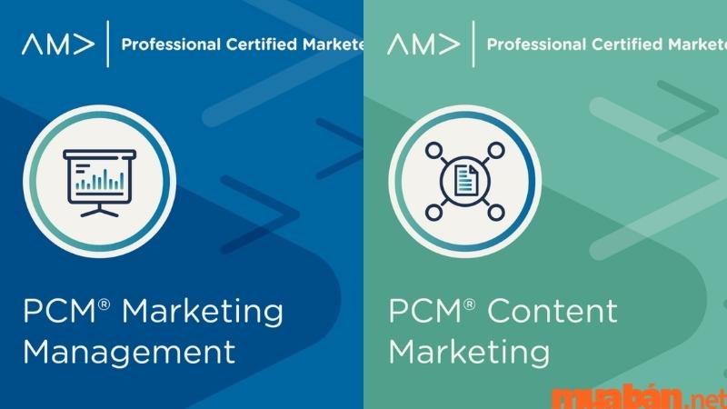 Các chứng chỉ đào tạo về Marketing của AMA là gì?