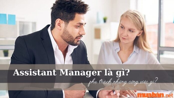 Assistant Manager là gì?