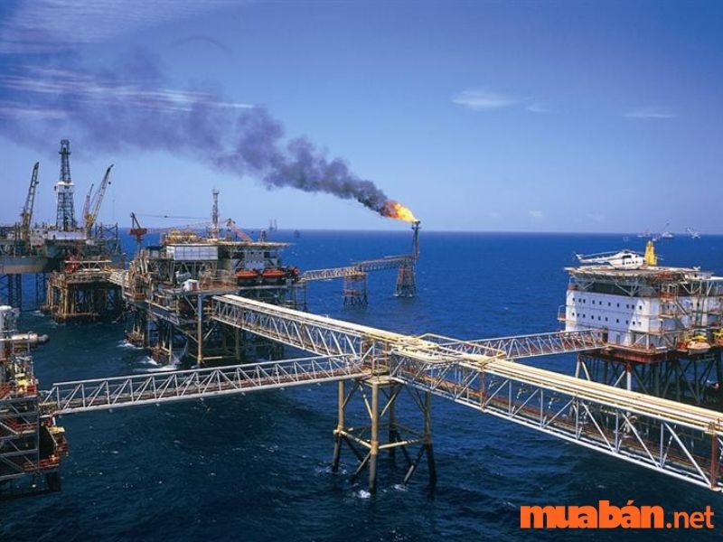 Bản chất của các ngành công nghiệp là tạo ra những sản phẩm dựa trên hoạt động khai thác và chế biến, sản xuất