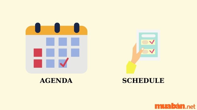 Phân biệt Agenda với Schedule
