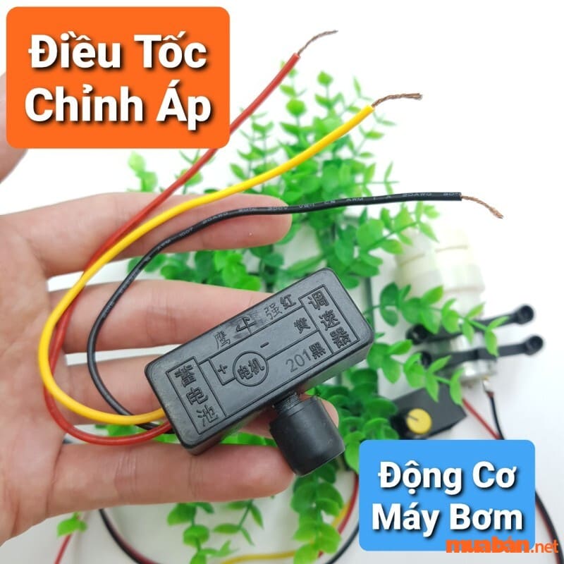 Bộ điều tốc cần thường xuyên được bảo dưỡng