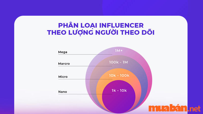 Phân loại Influencer dựa trên lượt theo dõi