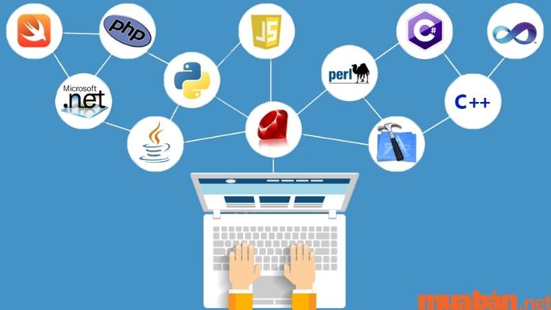 Lập trình hoạt động của trang web