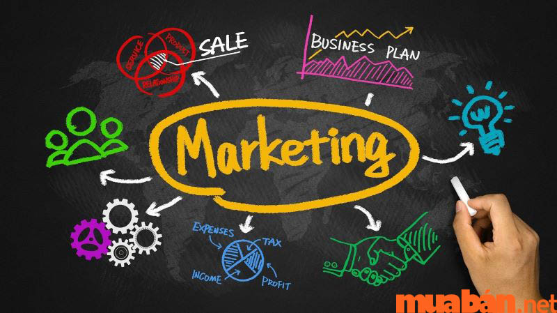Học marketing ra làm gì? Top 6 việc làm nổi bật trong ngành
