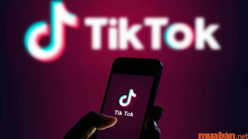 Mạng xã hội Tiktok bắt nguồn từ Trung Quốc.