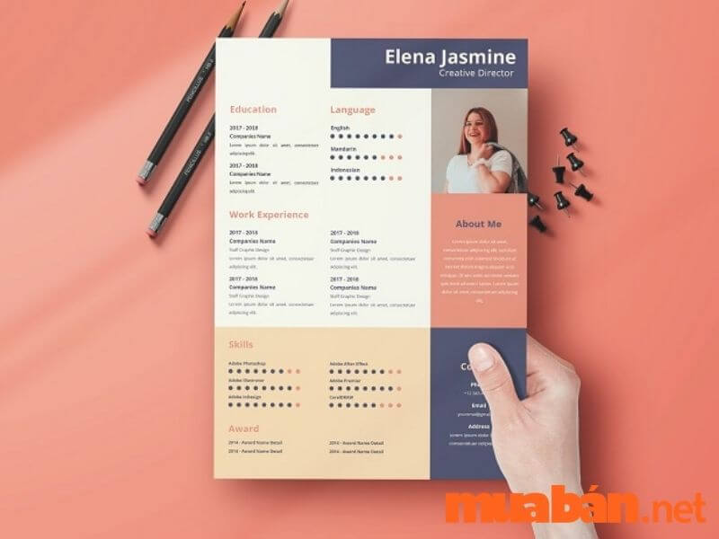 CV Designer