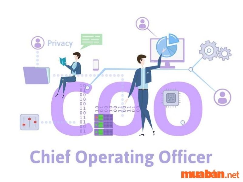 Giám đốc điều hành (COO) là cụm từ viết tắt của Chief Operation Officer