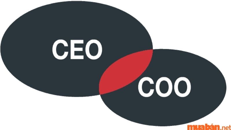 Sự khác biệt giữa CEO và COO