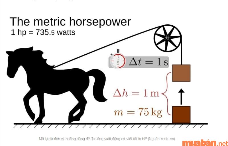 1 mã lực bằng bao nhiêu watt?