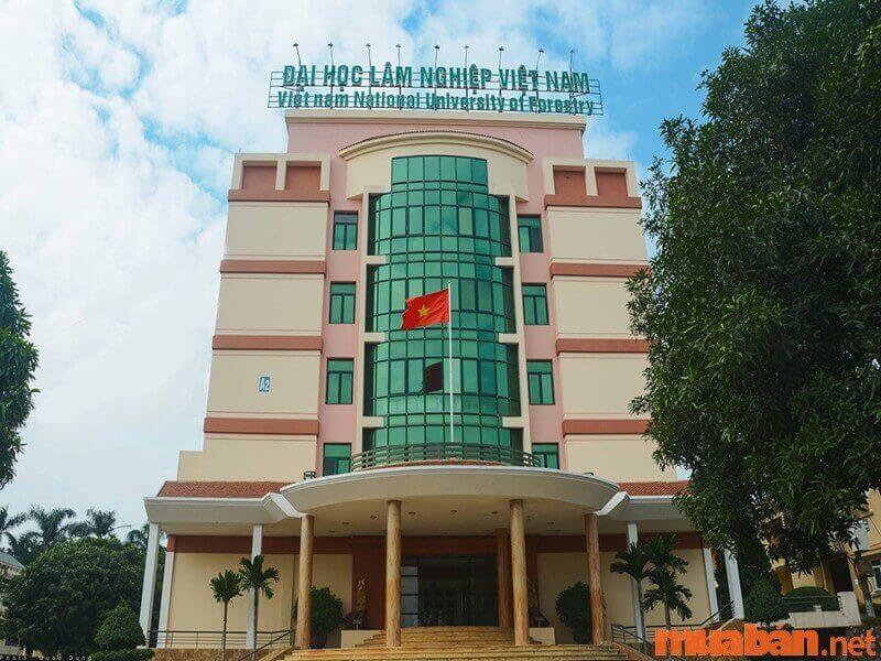 Hình ảnh trường đại học lâm nghiệp Việt Nam