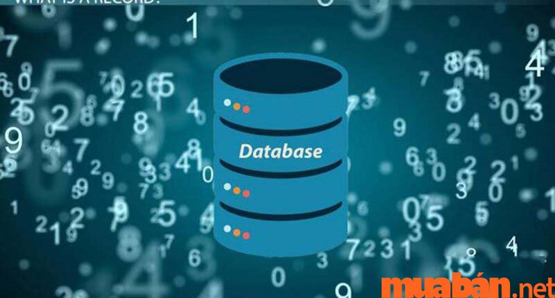database là gì