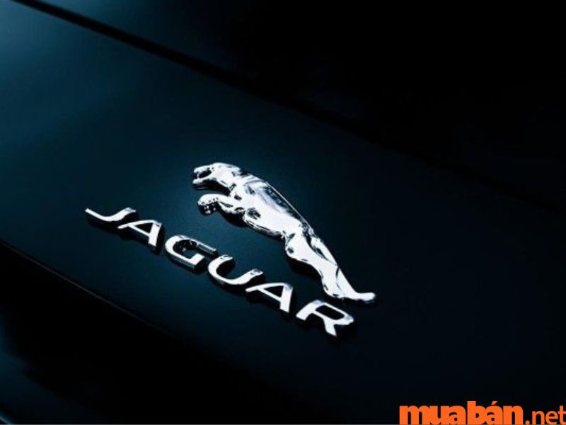 Jaguar - hãng xe sang trọng và thể thao đa dụng - Logo các hãng xe ô tô