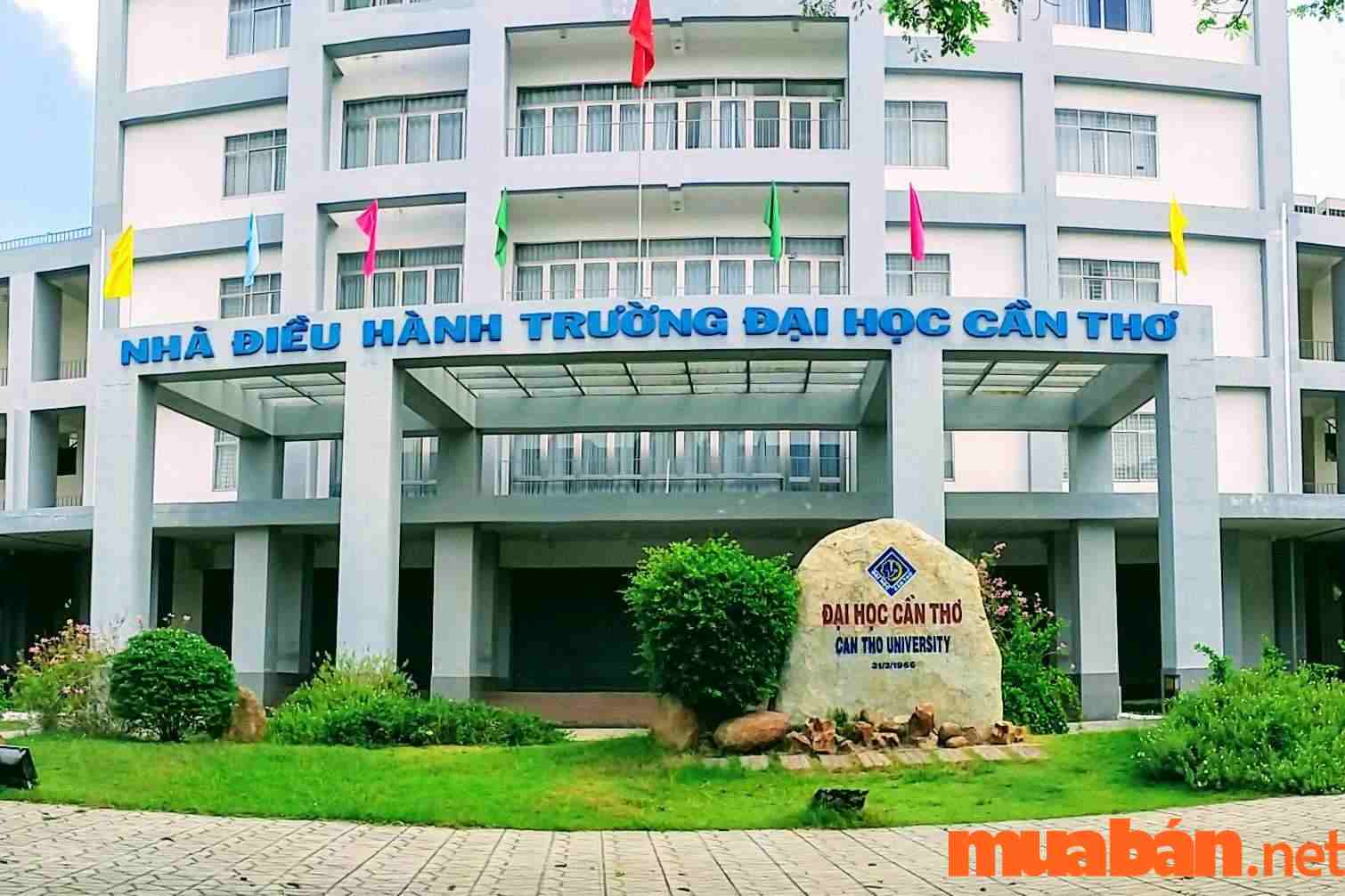 Các trường đại học top đầu Việt Nam 