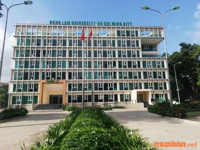 top các trường đại học ở TP HCM