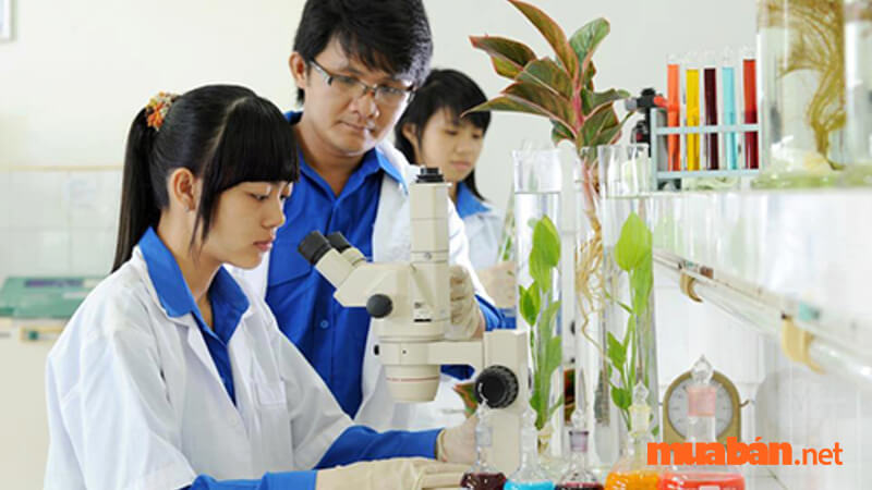 Có rất nhiều trường đại học nổi tiếng trong lĩnh vực Khoa học - Công nghệ đào tạo Công nghệ sinh học 