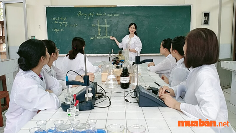 Sinh viên công nghệ sinh học có thể làm giáo viên các bộ môn Sinh học, Hóa học hệ Cơ sở  