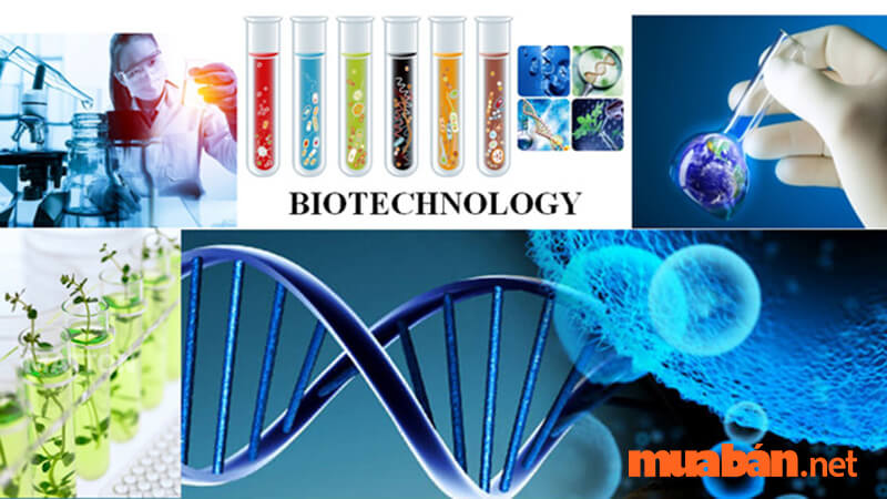 Ngành công nghệ sinh học chuyên nghiên cứu về sinh vật và ứng dụng sinh vật 
