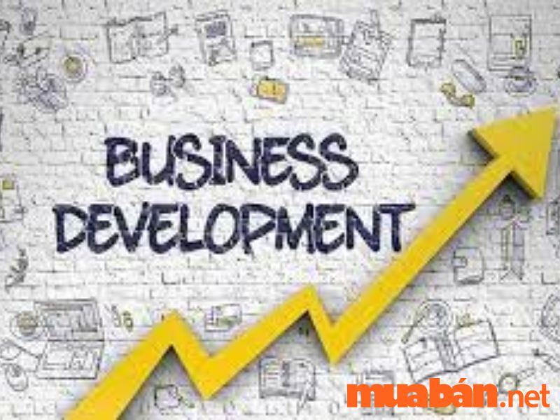 Business Development là gì?