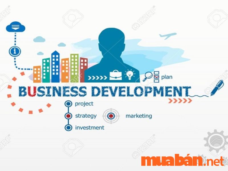 Business Development là gì? Business Development có vai trò phát triển chiến lược kinh doanh